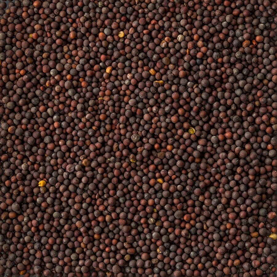 Moong Dal