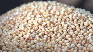 Premium Wheat