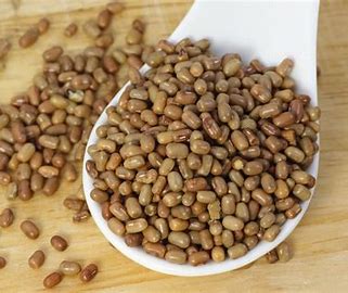 Red Rice
